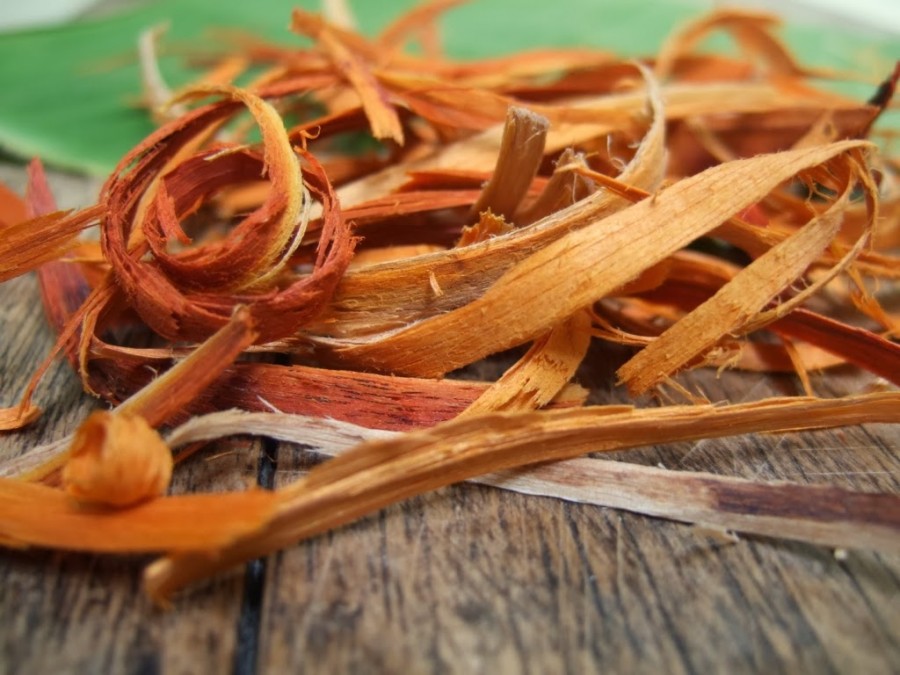  Kulit kayunya dimanfaatkan orang sebagai bahan pengobatan, pewarna, dan minuman penyegar.