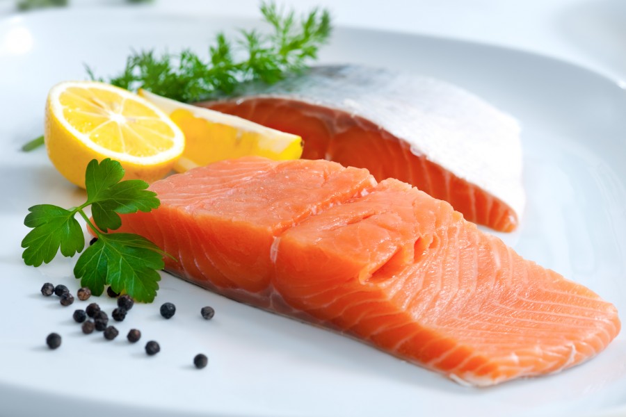 Ikan Salmon Ikan Salmon