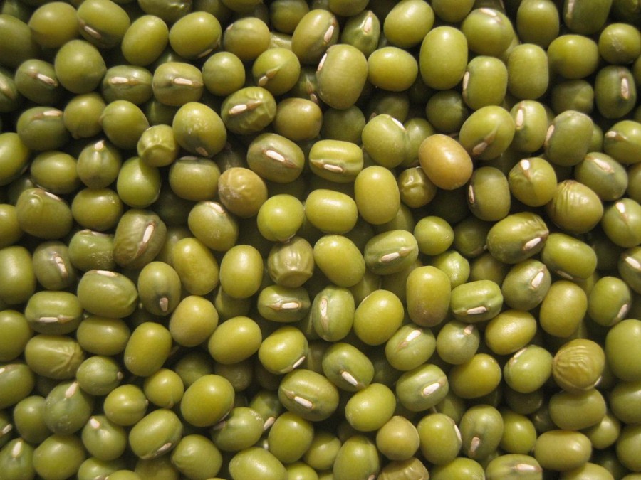 Kacang Hijau Kacang Hijau