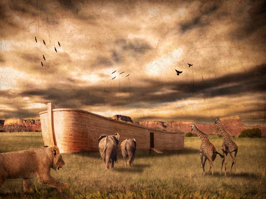 ark_of_noah_by_robsonbatista-d2628ch