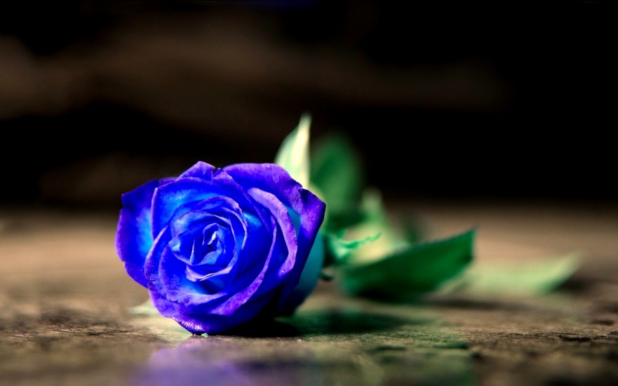 hdwallpapersd.com