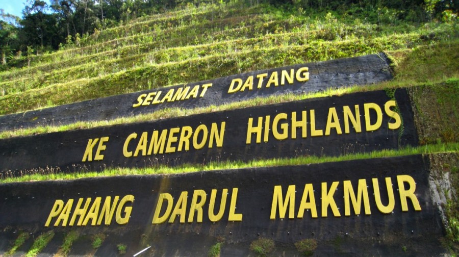 Image result for tempat menarik di cameron highland 2015