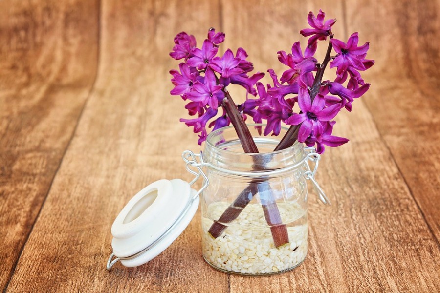 Image result for Cara Menghias Dapur Sempit Dengan Bunga Wangi