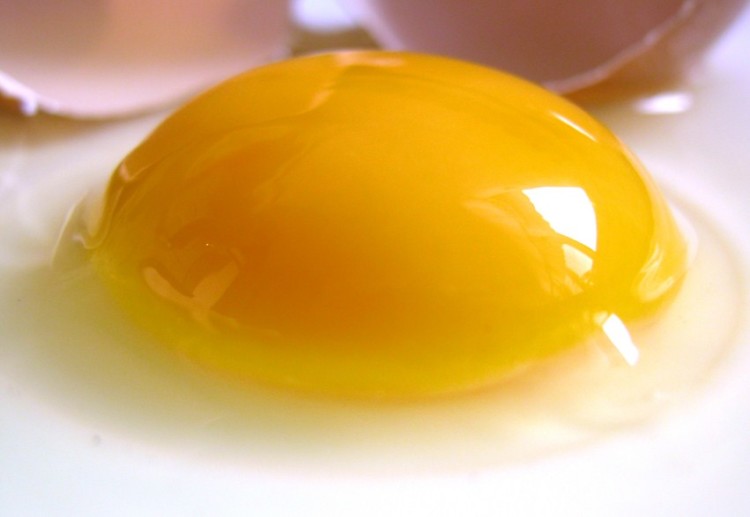 kuning telur
