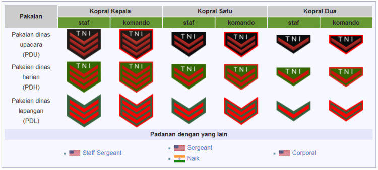 Pangkat TNI Tamtama Kepala Pangkat TNI Tamtama Kepala