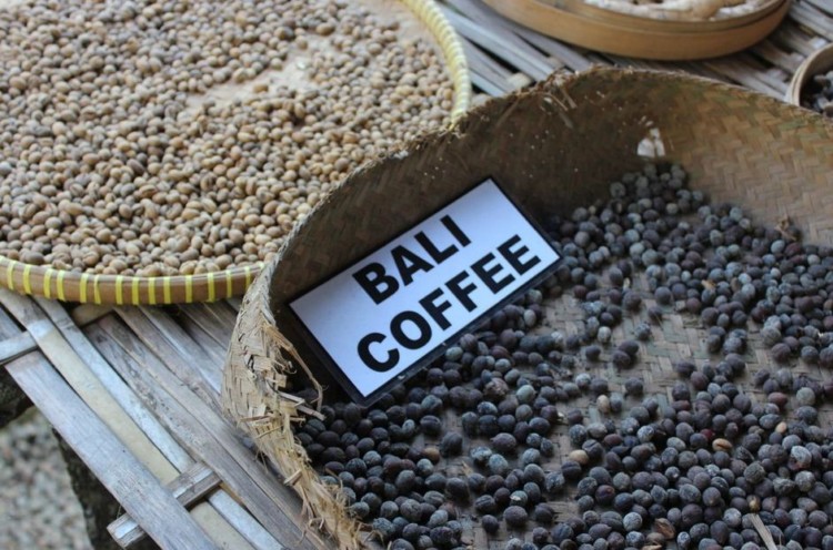 jenis kopi bali kintamanai kopi rasa buah jenis kopi di nusantara
