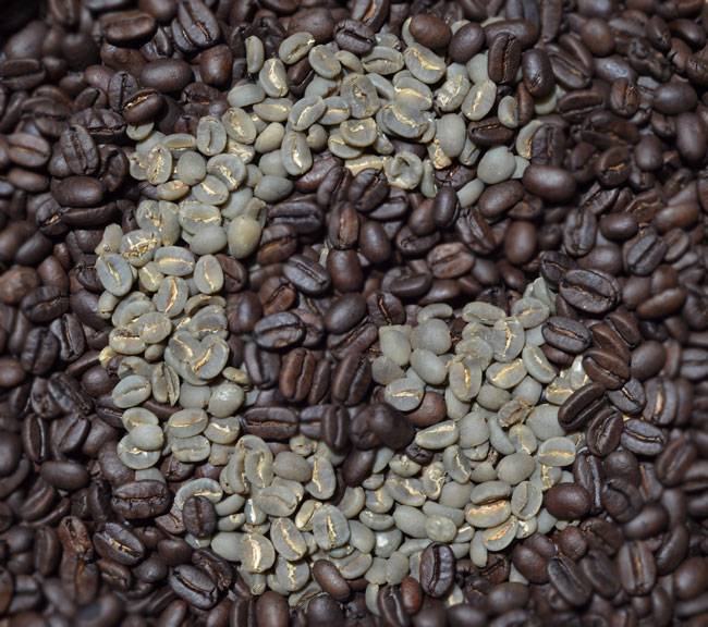jenis kopi yang paling digemari jenis kopi paling di gemari di Indonesia, kopi gayo