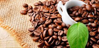 jenis kopi favorit di Indonesia jenis kopi nusantara