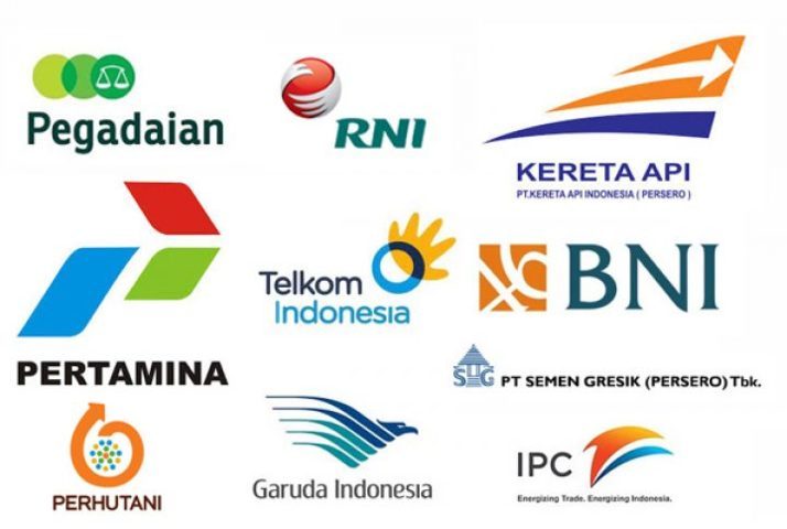 badan usaha milik swasta BUMS