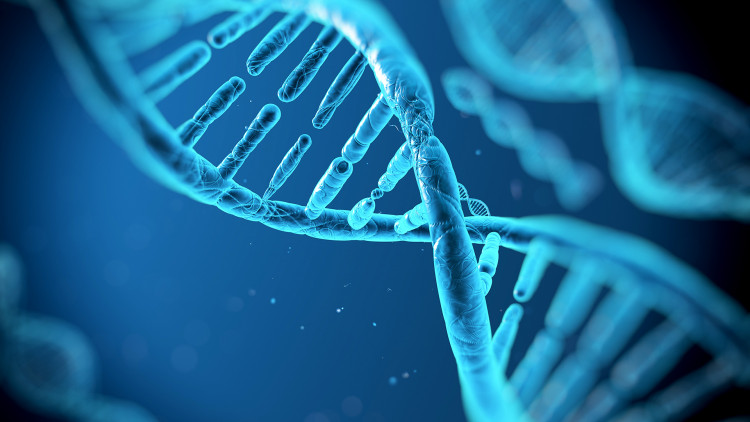 replika dna