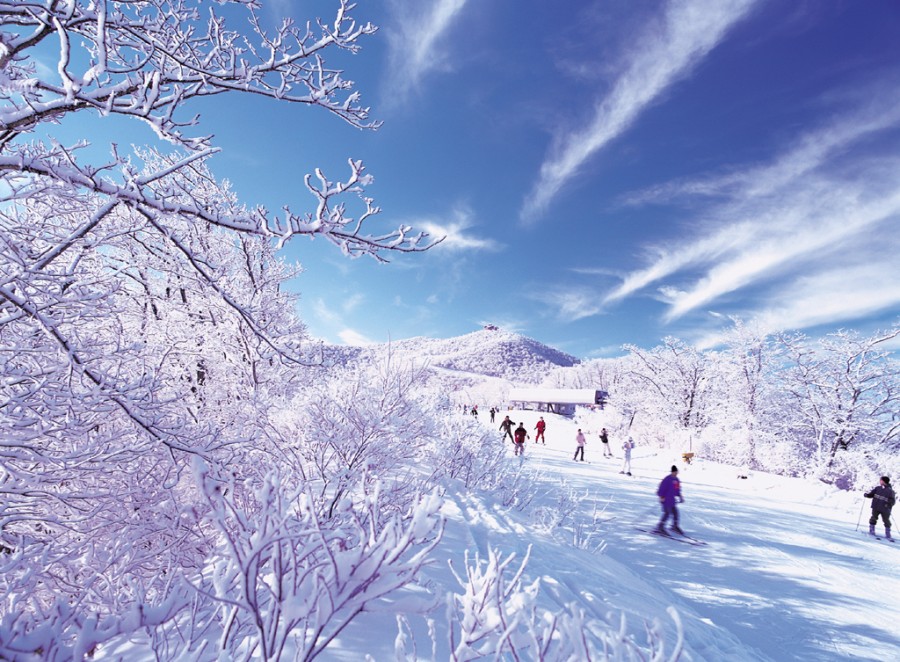 7 Negara Ini Memiliki Pemandangan  Musim Salju yang Indah 