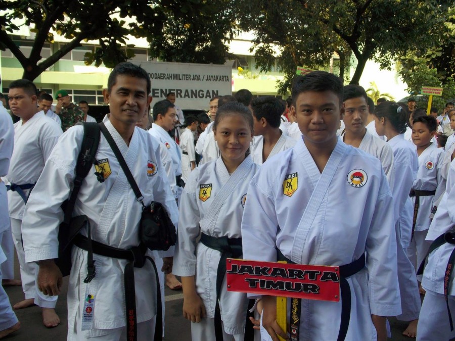 sejarah berdirinya institut karate