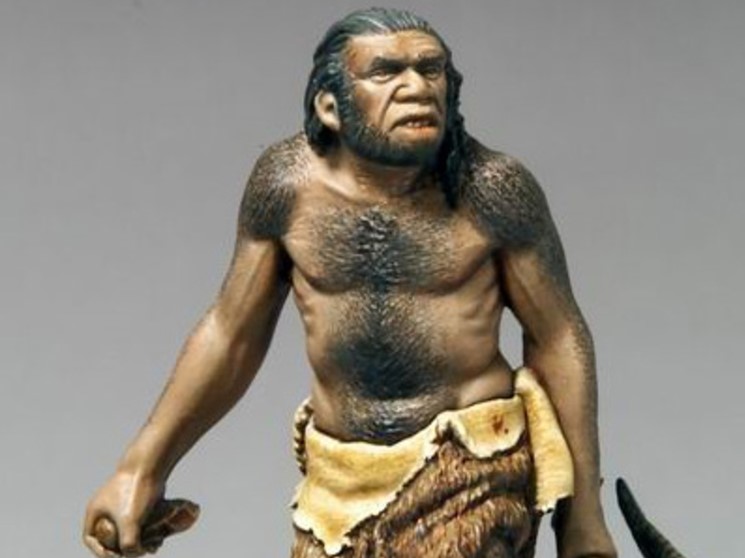 Sejarah, Jenis dan Ciri-ciri Meganthropus Paleojavanicus ...
