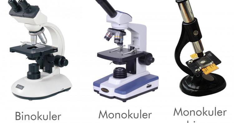 Pengertian Mikroskop / Jenis / Macam-macam / Bagian-bagian / Fungsi